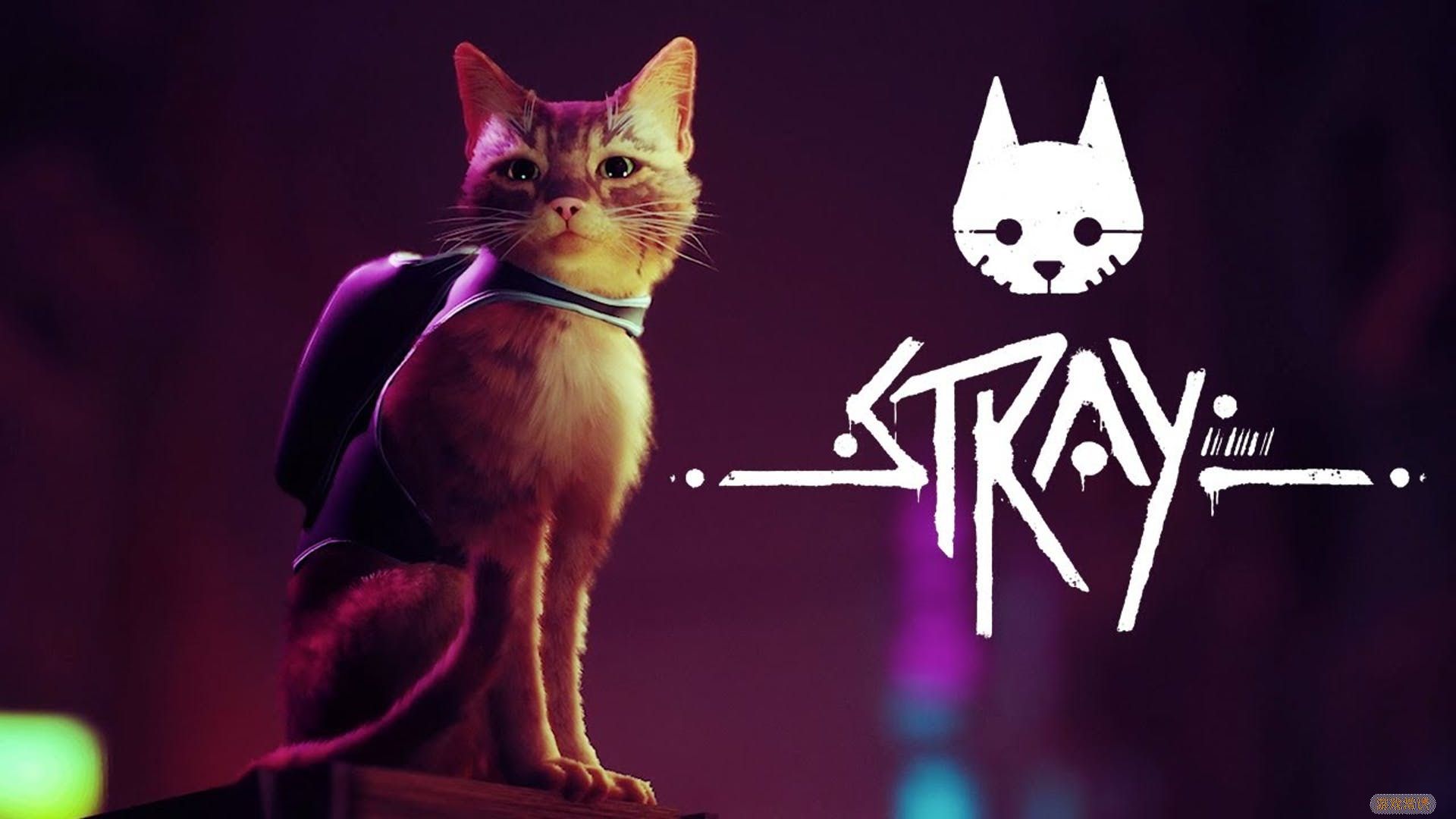 猫咪冒险游戏《Stray》在韩国评级 将于2022年发售