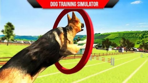 狗狗训练3D图0