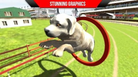 狗狗训练3D图1