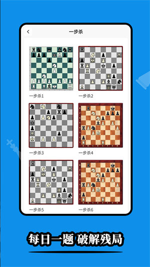chess图0