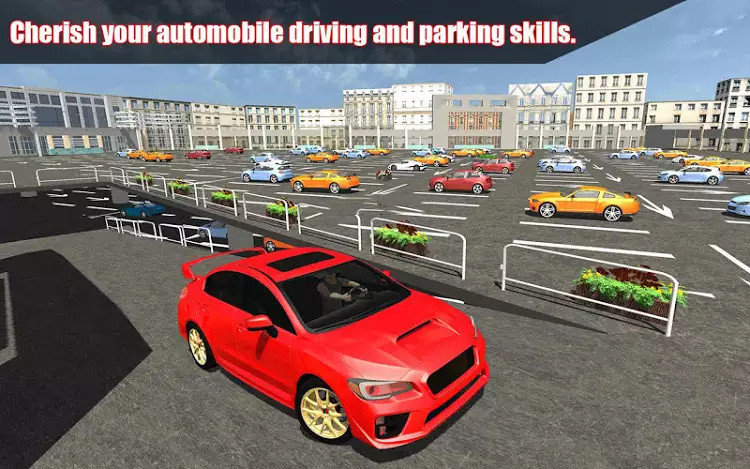 疯狂的代客停车模拟器游戏安卓版图2