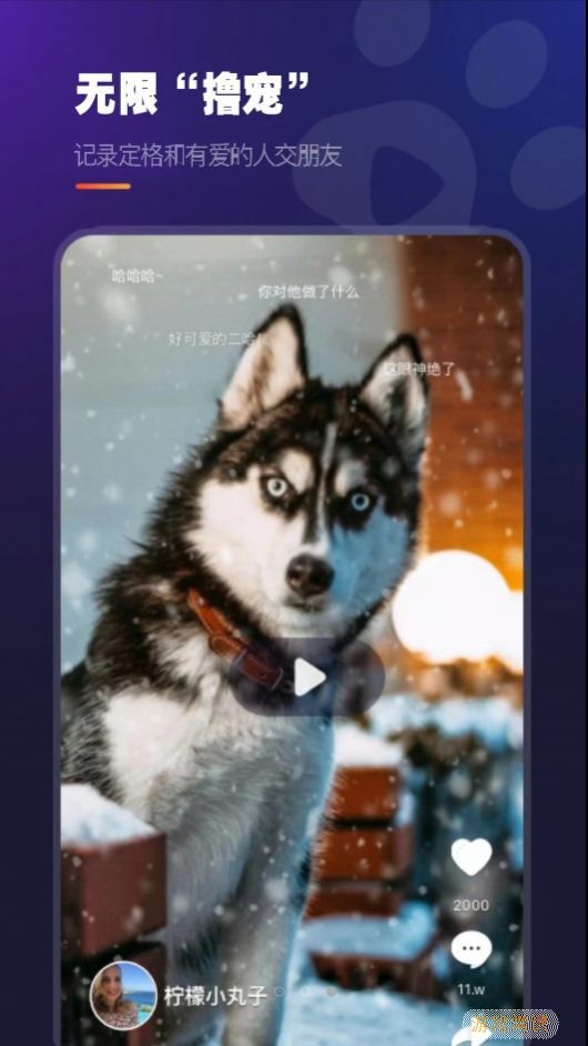 趣爪印宠物记录app最新版图片1