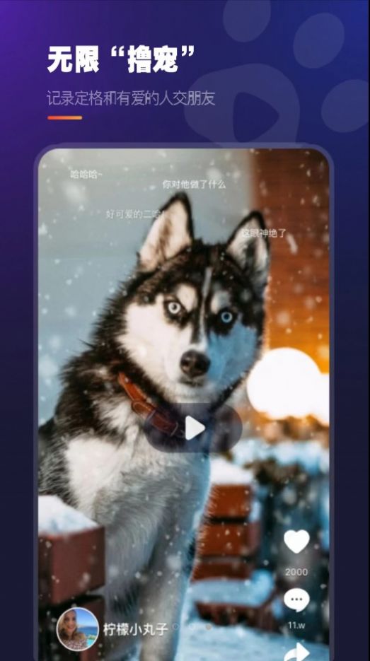 趣爪印宠物记录app最新版图1