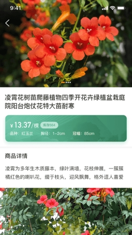 一千零一叶图2