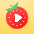 鹿玩番茄短视频APP手机版