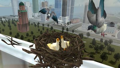 鸽子生存模拟器游戏下载图3