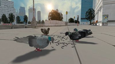 鸽子生存模拟器游戏下载图0
