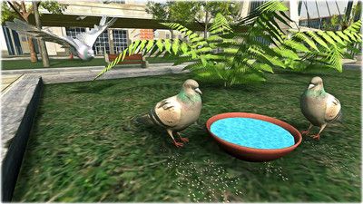 鸽子生存模拟器游戏下载图1