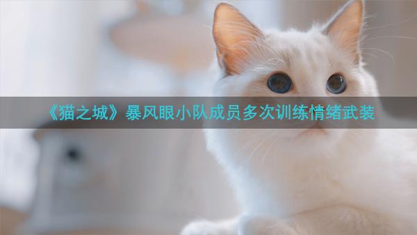 《猫之城》暴风眼小队成员多次训练情绪武装