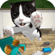 猫咪模拟器无限金币无限钻石版
