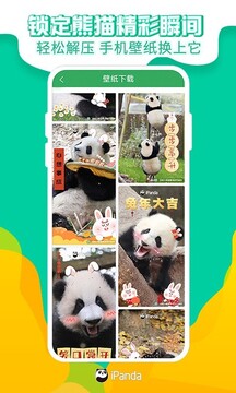 熊猫频道app图2