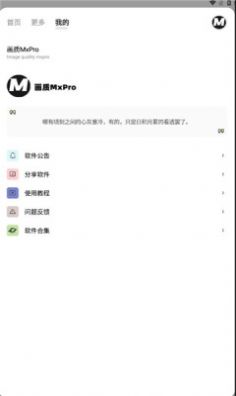 画质mxrpro图2