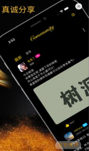 树洞app