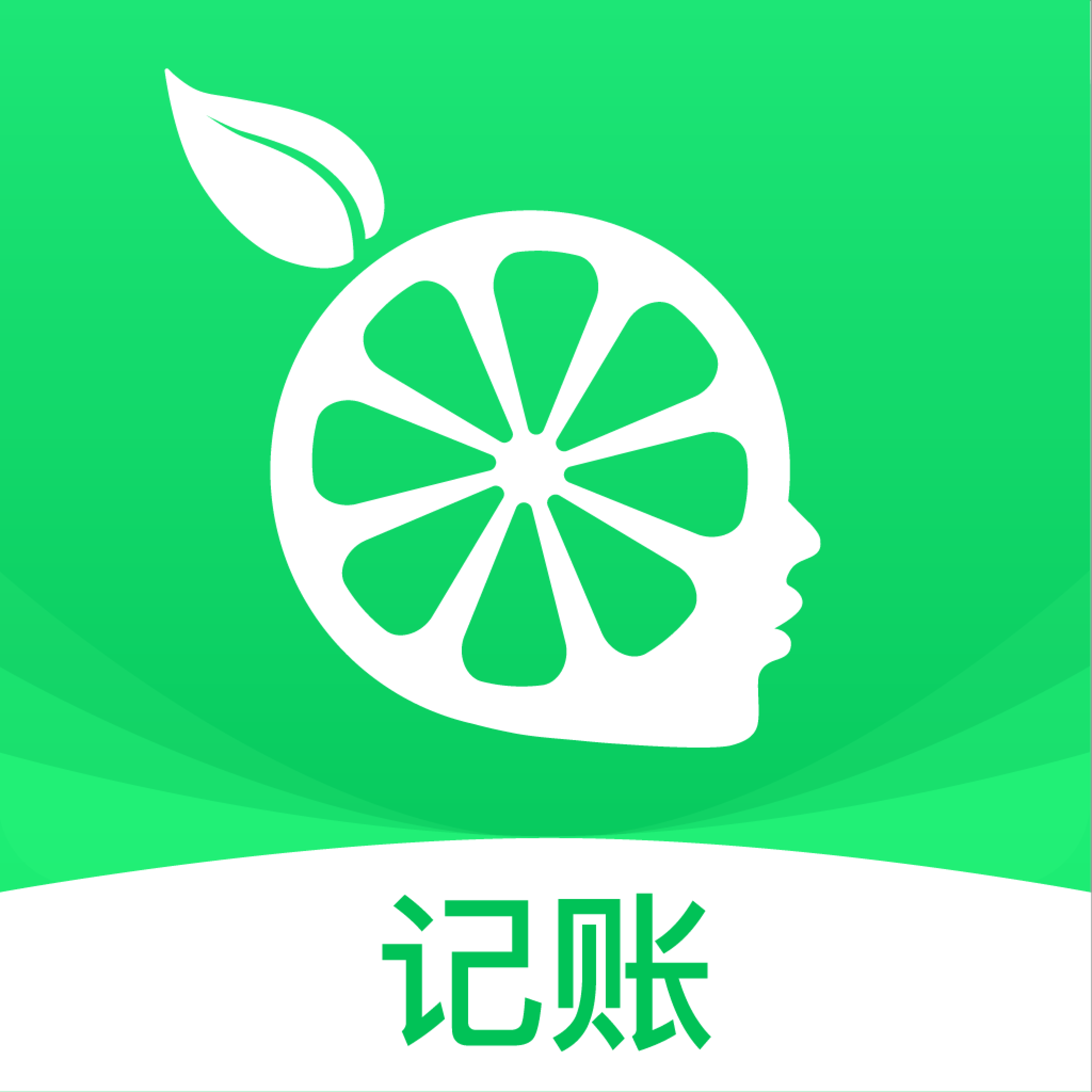 柠檬云记账软件免费版_柠檬云记账app安卓版下载