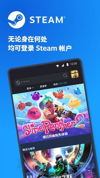 Steam正版图0