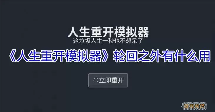 人生重开模拟器轮回之外有什么用？人生重开模拟器全结局