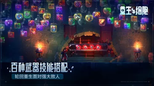 重生细胞完整版1.7版图0