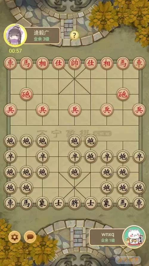 万宁象棋规则 万宁象棋图片