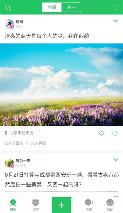 大树旅行图0