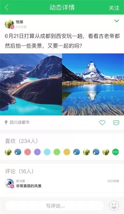 大树旅行图2