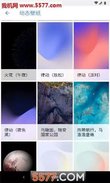 SJ WALLS图2