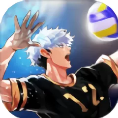 The Spike Volleyball battle安卓版本