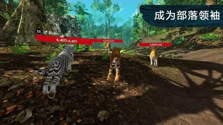 老虎森林捕猎官网版图1