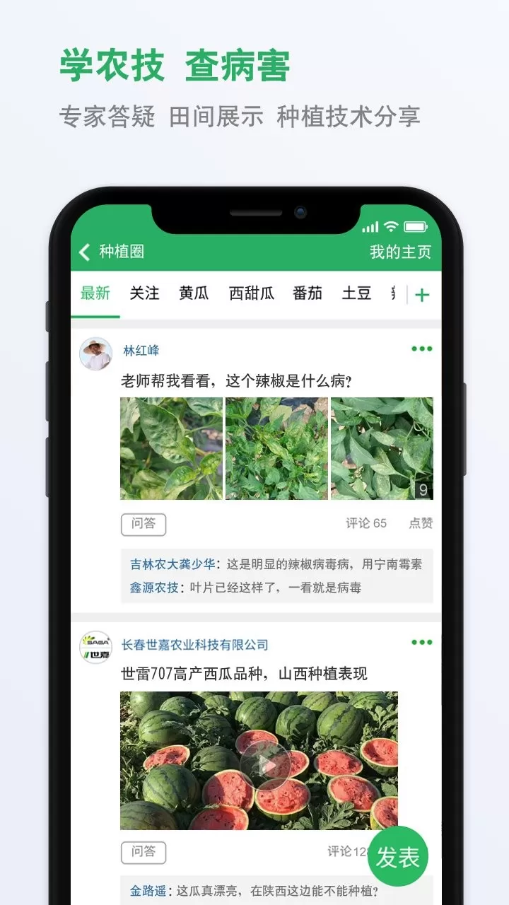 种子库下载正版图1