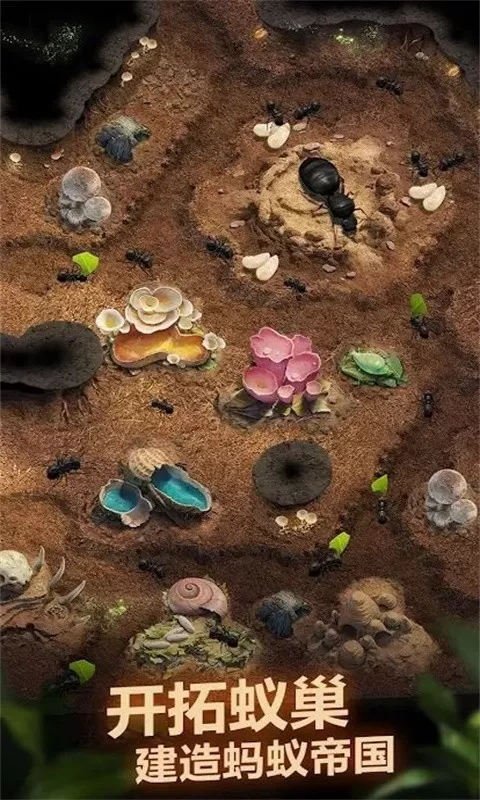 荒野蚂蚁模拟官网手机版图0