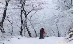 《暖雪》怎么去玉妃的行宫