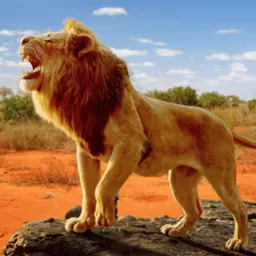 狮子王模拟器安卓手机版