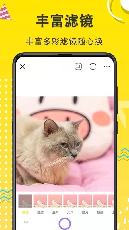 宠物动漫相机下载官方版图3