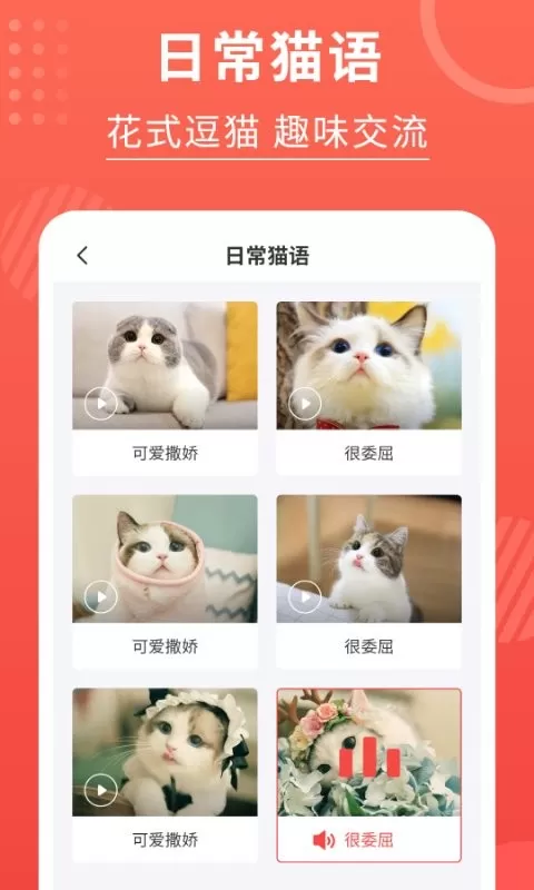 猫猫翻译器安卓下载图3