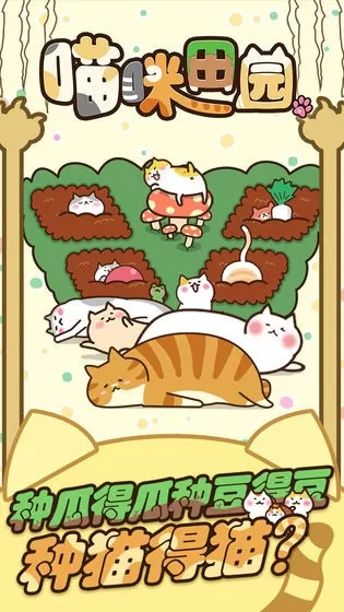猫咪田园游戏官网版图0