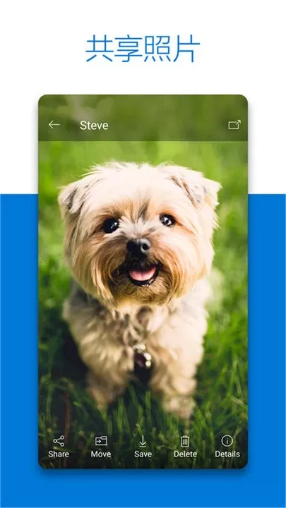 SkyDrive下载安装免费图0