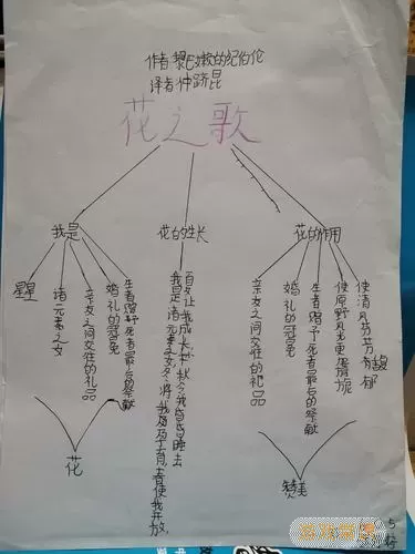 花之舞的主要情感是什么