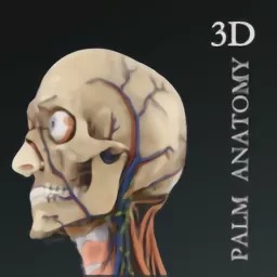 掌上3D解剖最新版本