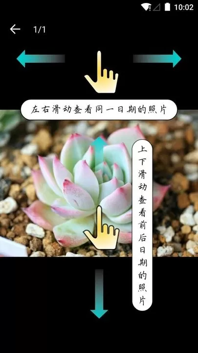 多肉成长记正版下载图0