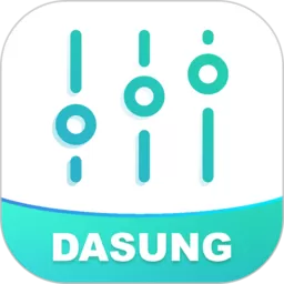 DASUNG Link下载安卓版