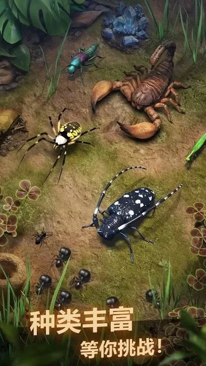 The Ants游戏新版本图3