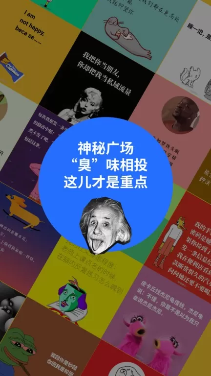 鲱鱼罐头官网版app图1