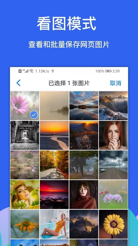 Alook下载手机版图1