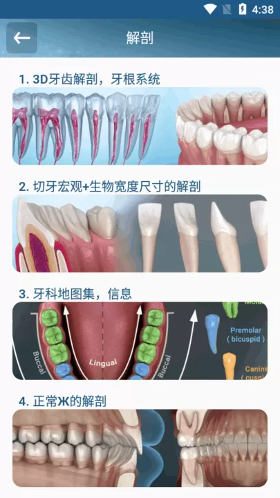 Dental Illustrations下载最新版本图1