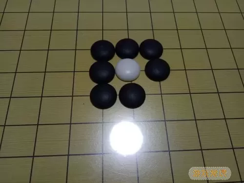 围棋提子是什么意思