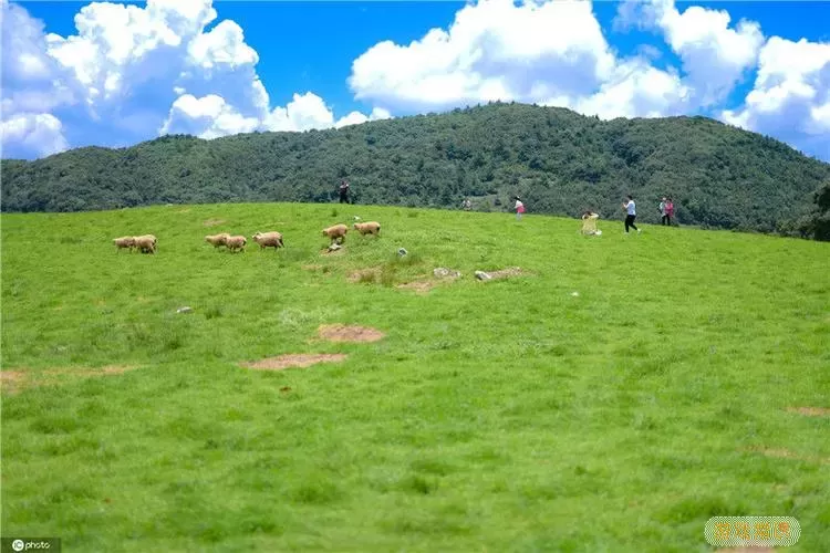 造桥模拟器高山牧场第8关