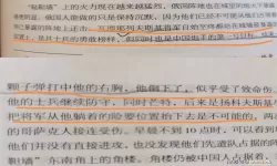 王国与城堡steam多少钱