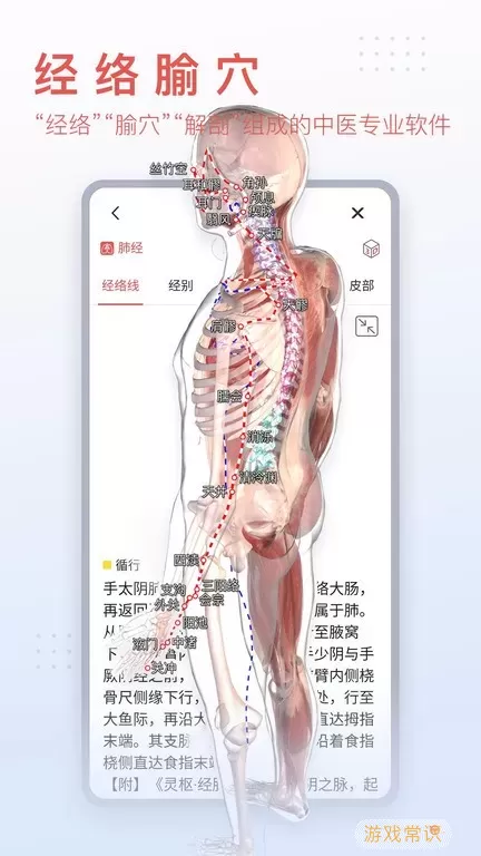 3DBody解剖下载安装免费