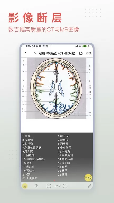 3DBody解剖下载安装免费图1