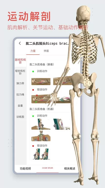 3DBody解剖下载安装免费图2