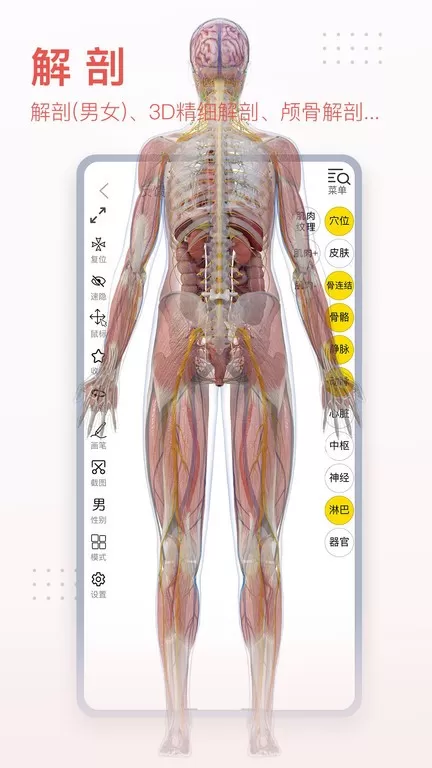 3DBody解剖下载安装免费图0